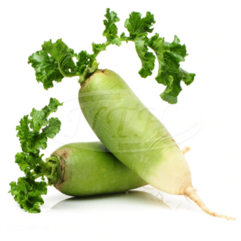 Green Radish/ Lobak Hijau